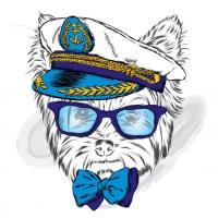 /customerDocs/images/avatars/54148/54148-ORGANIZED-SAILING CRUISES-DOUKAS-MYKONOS-ΜΥΚΟΝΟΣ-LOGO.jpg